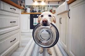 Bowls & Feeders