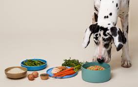 Nutrition